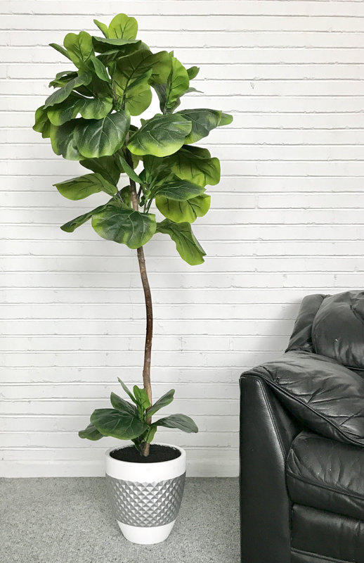Latitude Run Fiddle Leaf Fig Floor Palm Tree In Pot